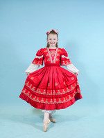 Rochester, MN (also  Minneapolis 12/7) Costume Photos